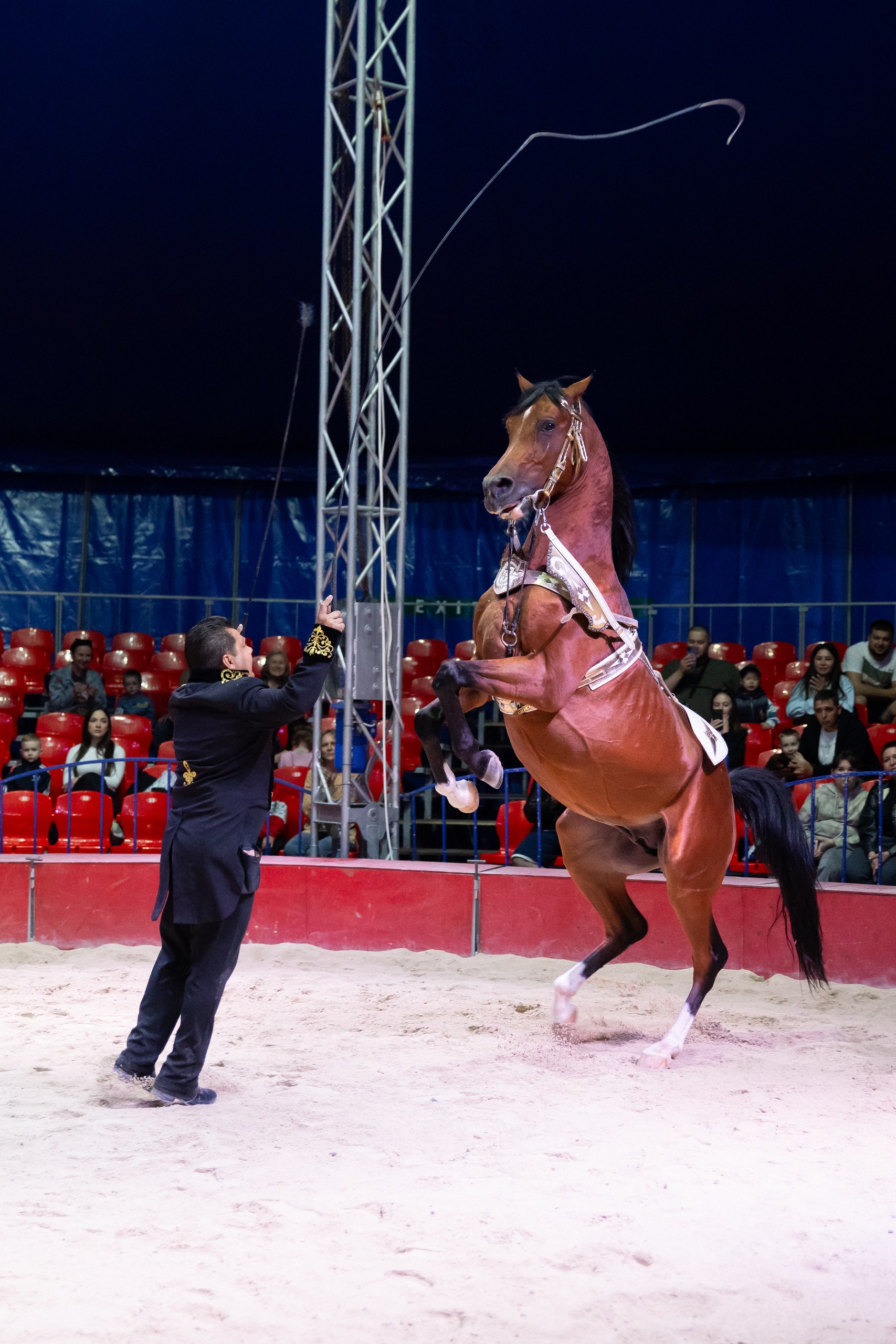 Цирк братьев Гертнер